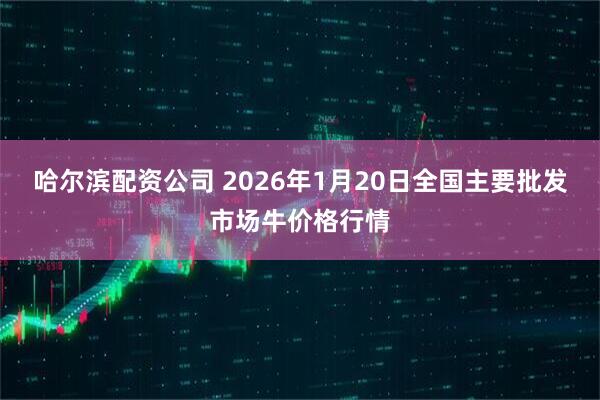 哈尔滨配资公司 2026年1月20日全国主要批发市场牛价格行情