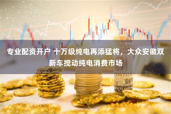专业配资开户 十万级纯电再添猛将，大众安徽双新车搅动纯电消费市场