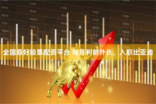 全国最好股票配资平台 匈牙利前外长，入职比亚迪