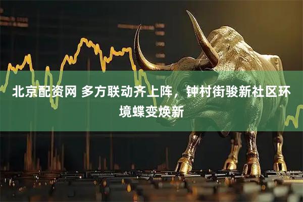 北京配资网 多方联动齐上阵，钟村街骏新社区环境蝶变焕新